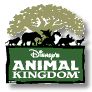 JCGuests - Disney Animal Kingdom